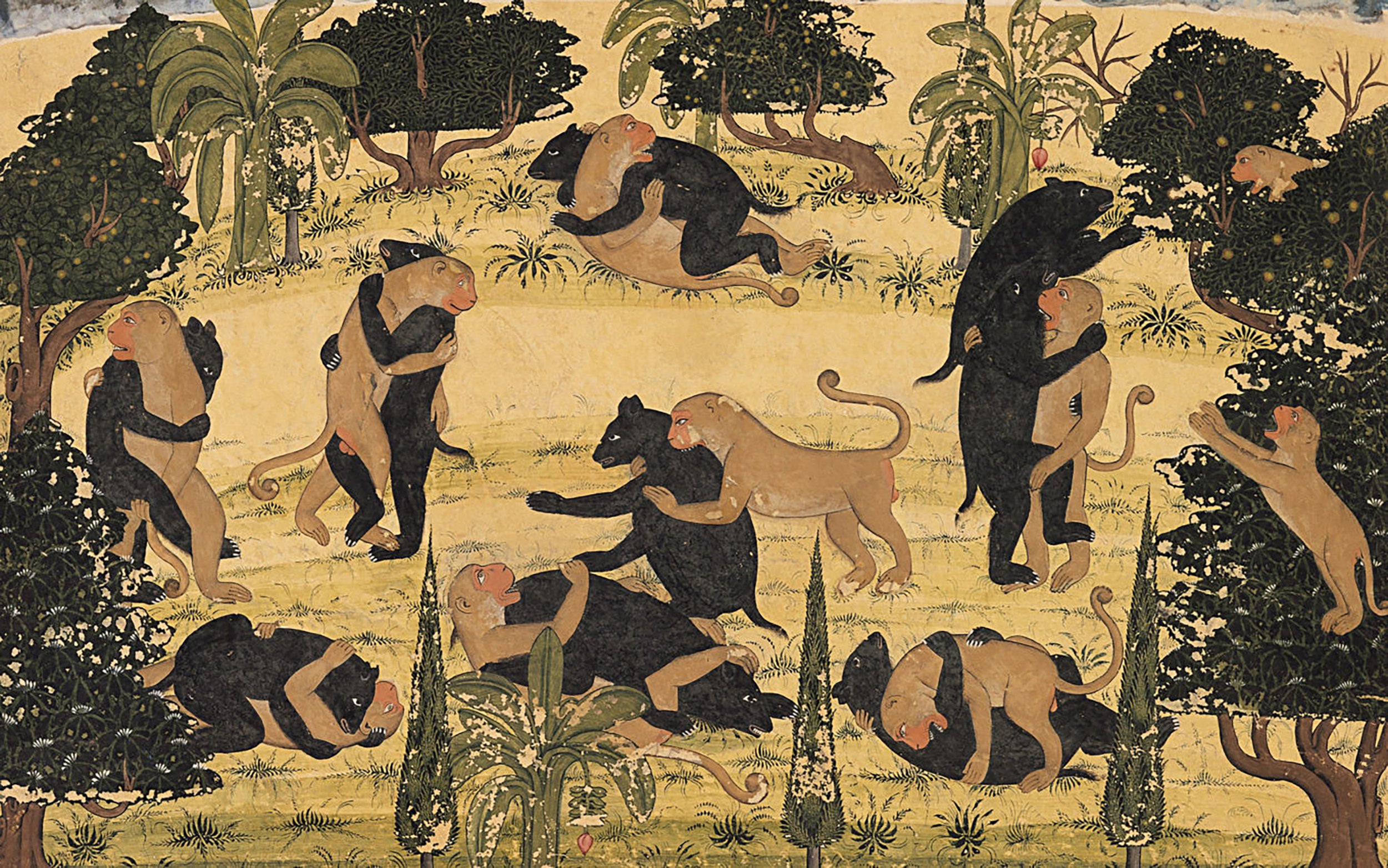 Pandit Seu, Fight of drunken monkeys and bears, 1720.jpeg