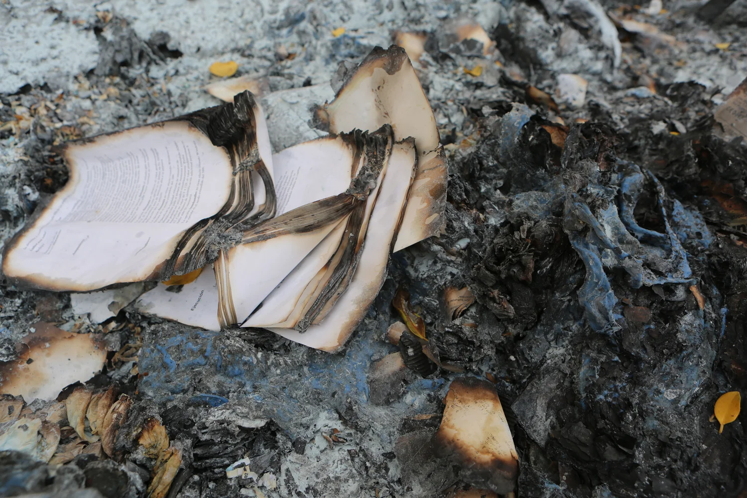 book-book-pages-burned-pages.jpg