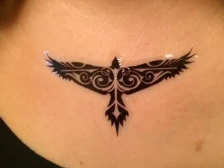 The lightning bird
