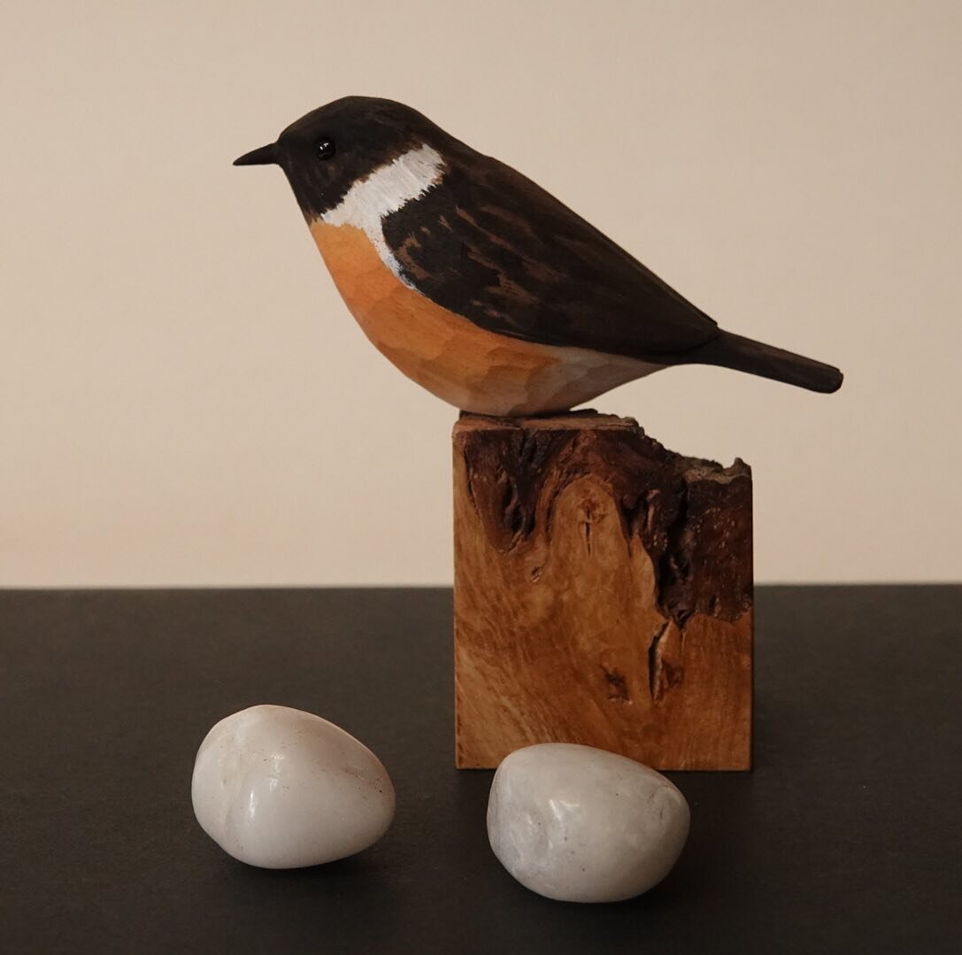 Stonechat. In my shop soon. (I will supply the stones).
&ldquo;The stonechat is named for its call, which sounds just like two small stones being hit together&rdquo;
#stonechat #carvedandpainted #carvedbirds #nickhunterwoodcarverbigcartel