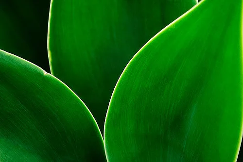 _DSC9122_4403811246_m.jpg