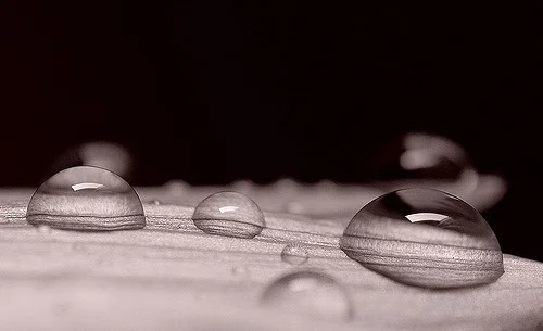 _DSC6558_r_3429375163_m.jpg