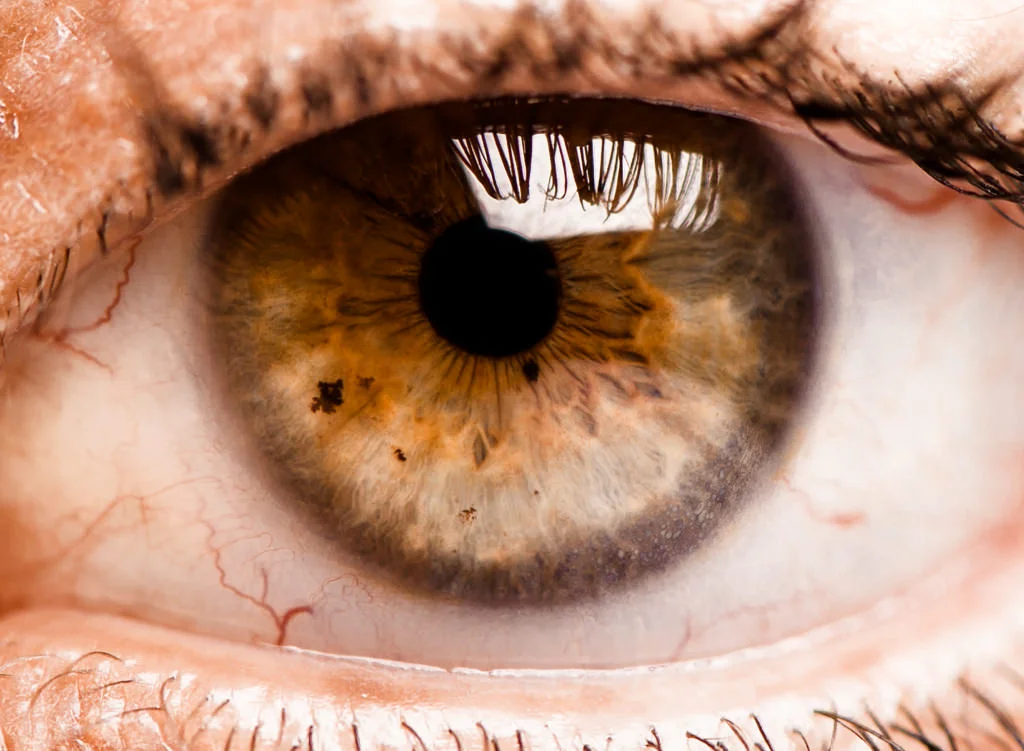 Ojo_24507020233_l.jpg