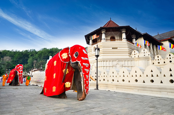 elephant+temple.jpg