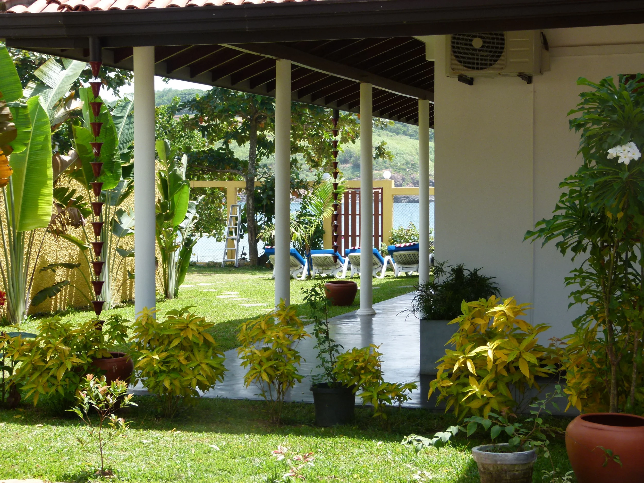 P1450871.JPG