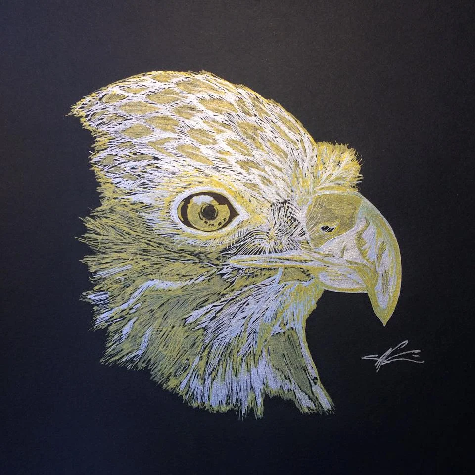 Hello Hawk