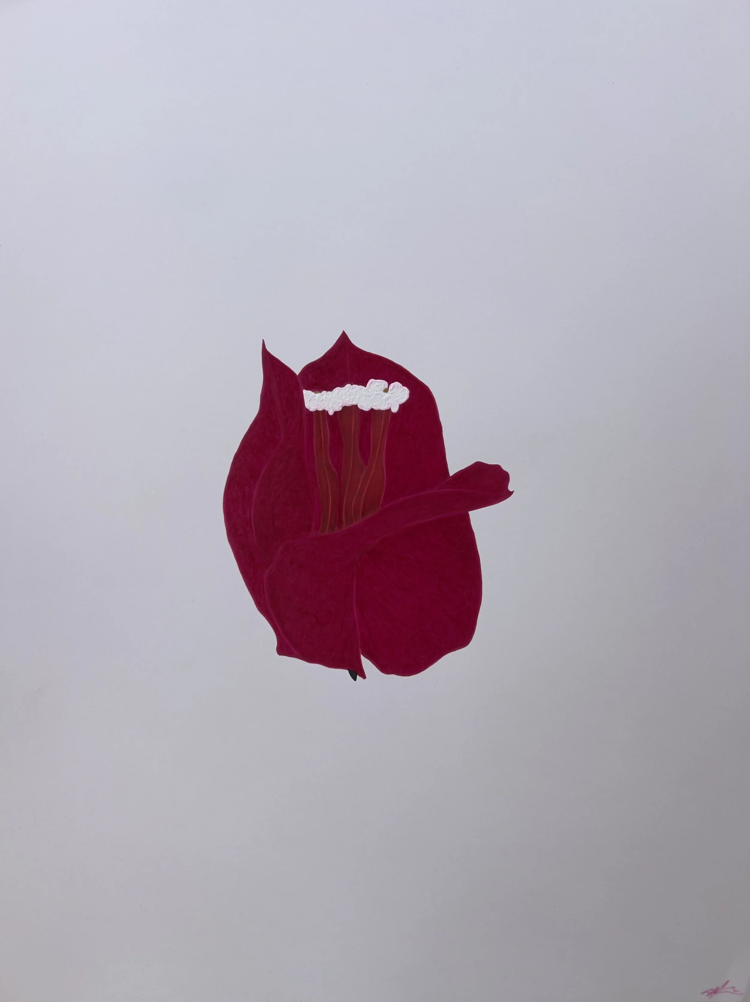 IMG_8156.jpeg