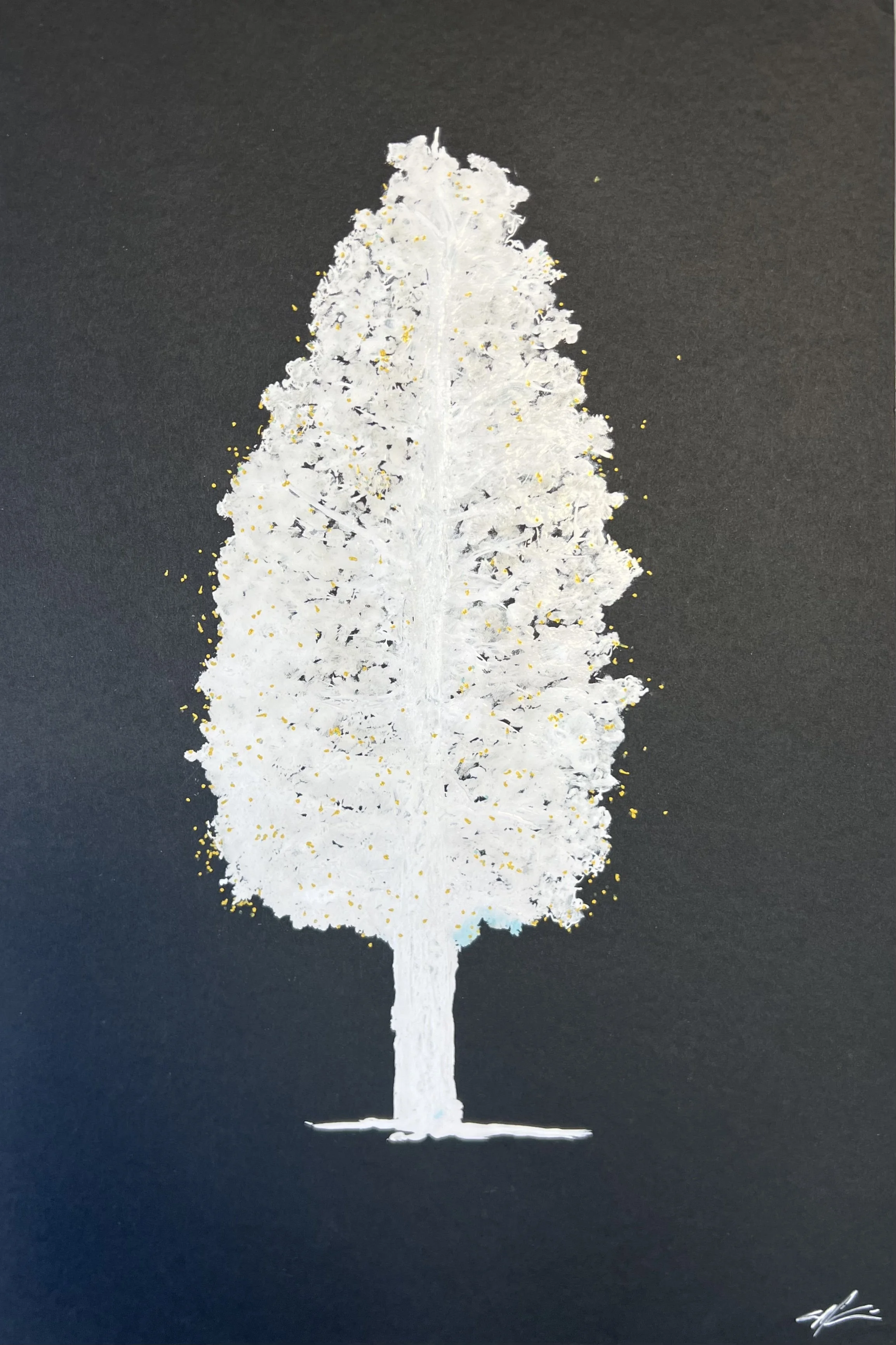 Rock Creek Firefly I.jpg