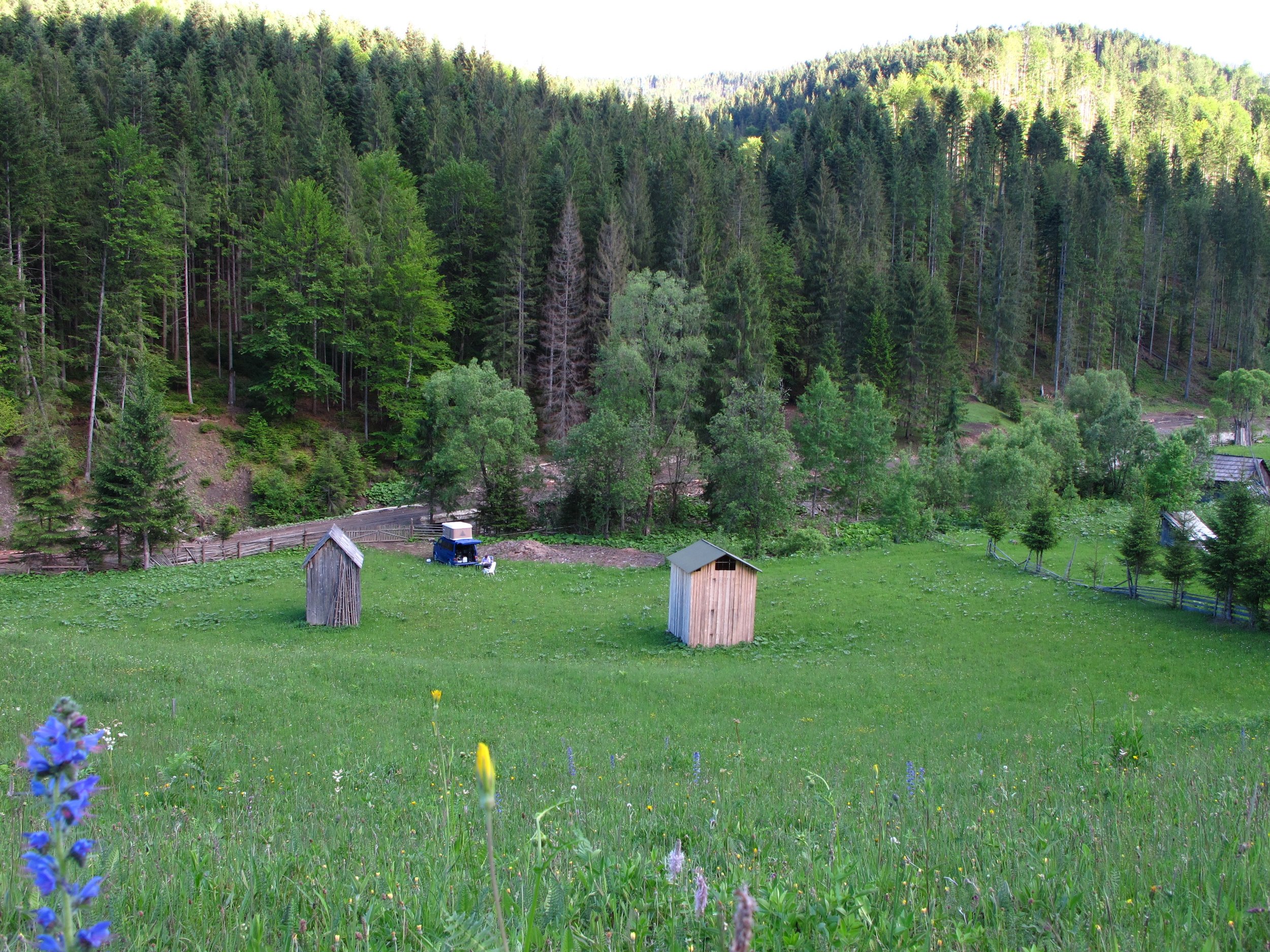 Romanian Farmer Field