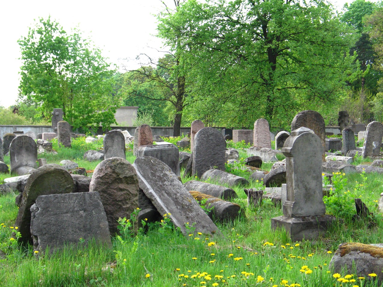 Bialystok Jewish Graveyard