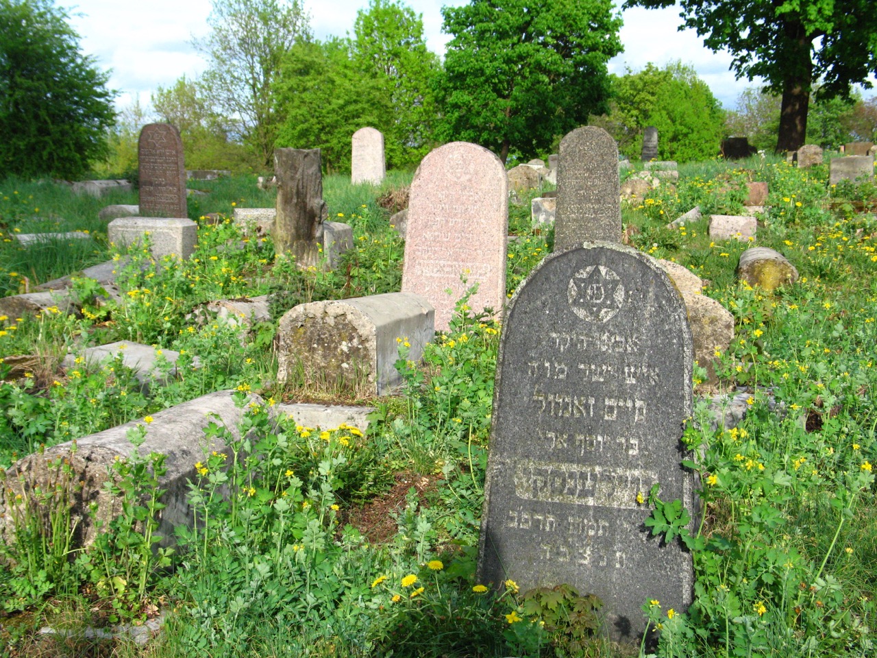 Byalystok Jewish Graveyard.