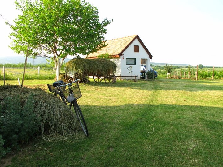 Our Place in Serbia