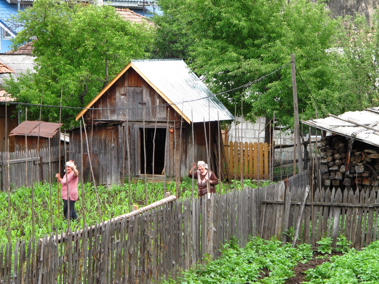 Yard Work