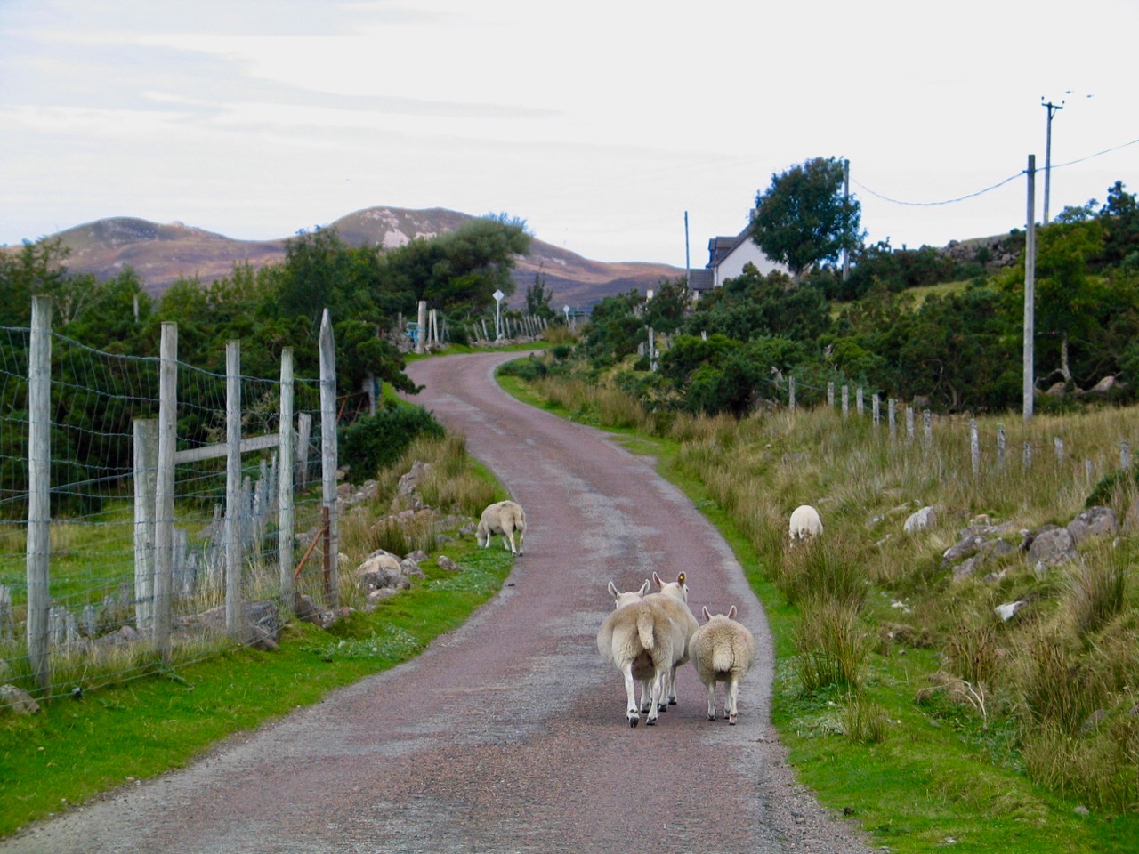 One Track Roads