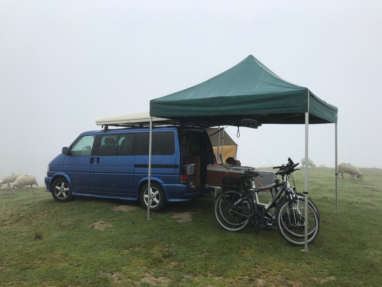 My Foggy Plateau