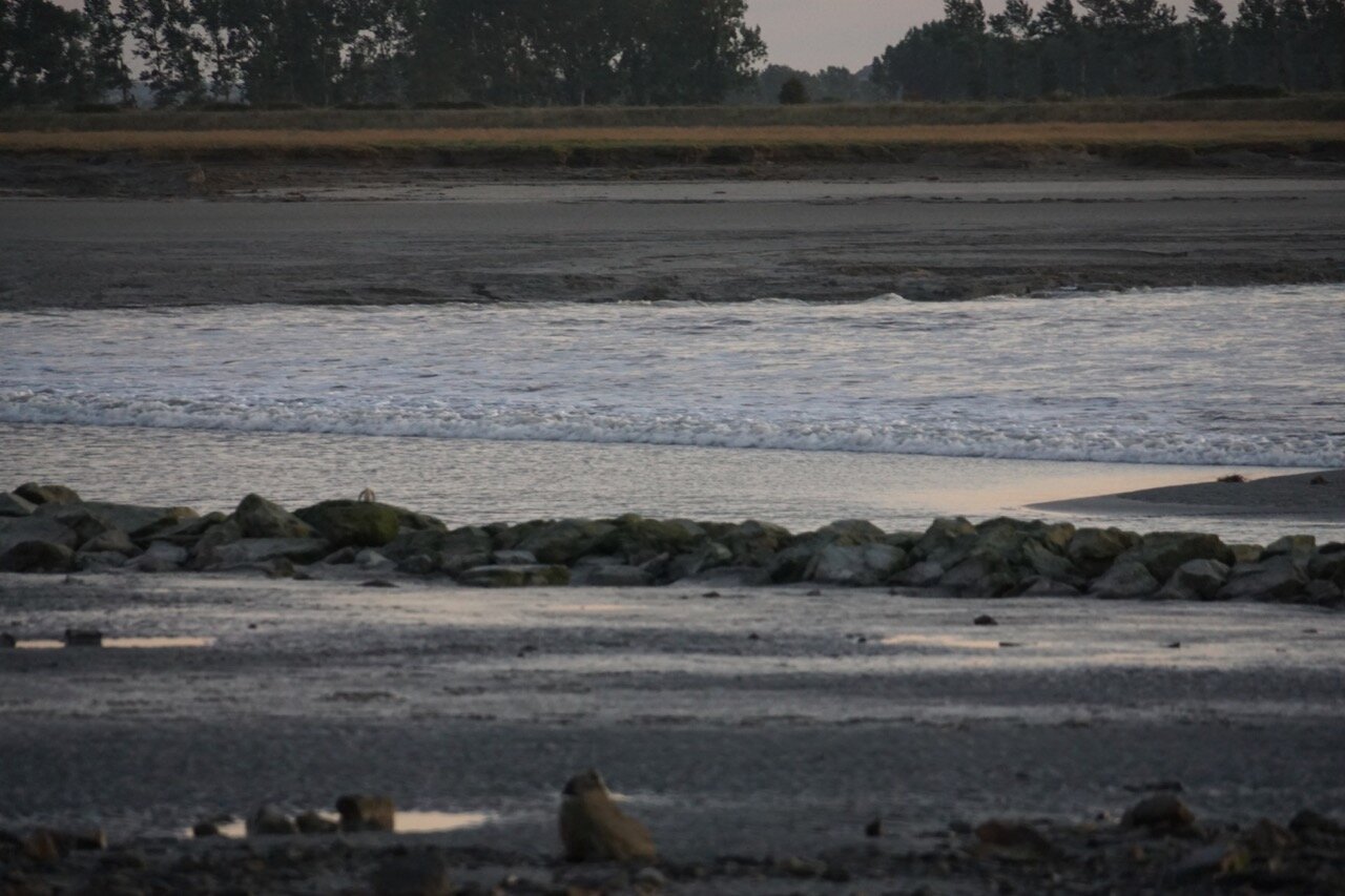 The Tidal Bore