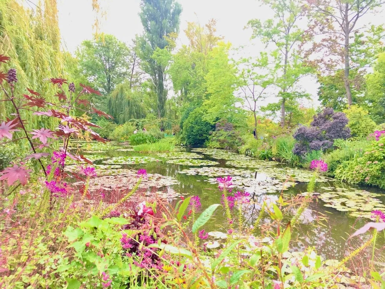 Finding Order in Creativity; a Foray with Monet
