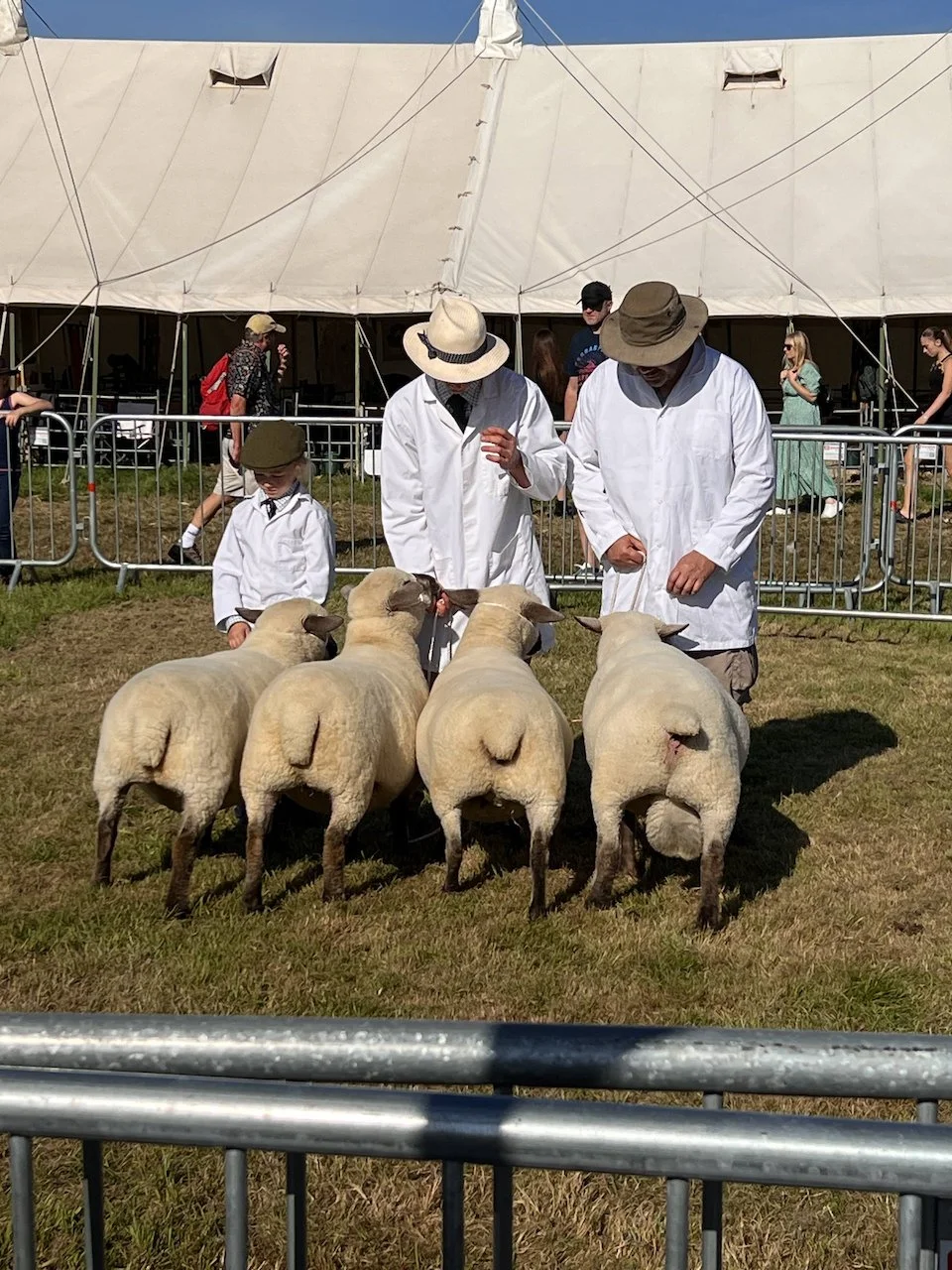 Arthur's group - don't make eye contact!