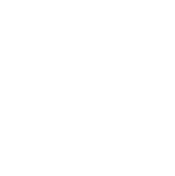 primitive_expertises_recherches.png
