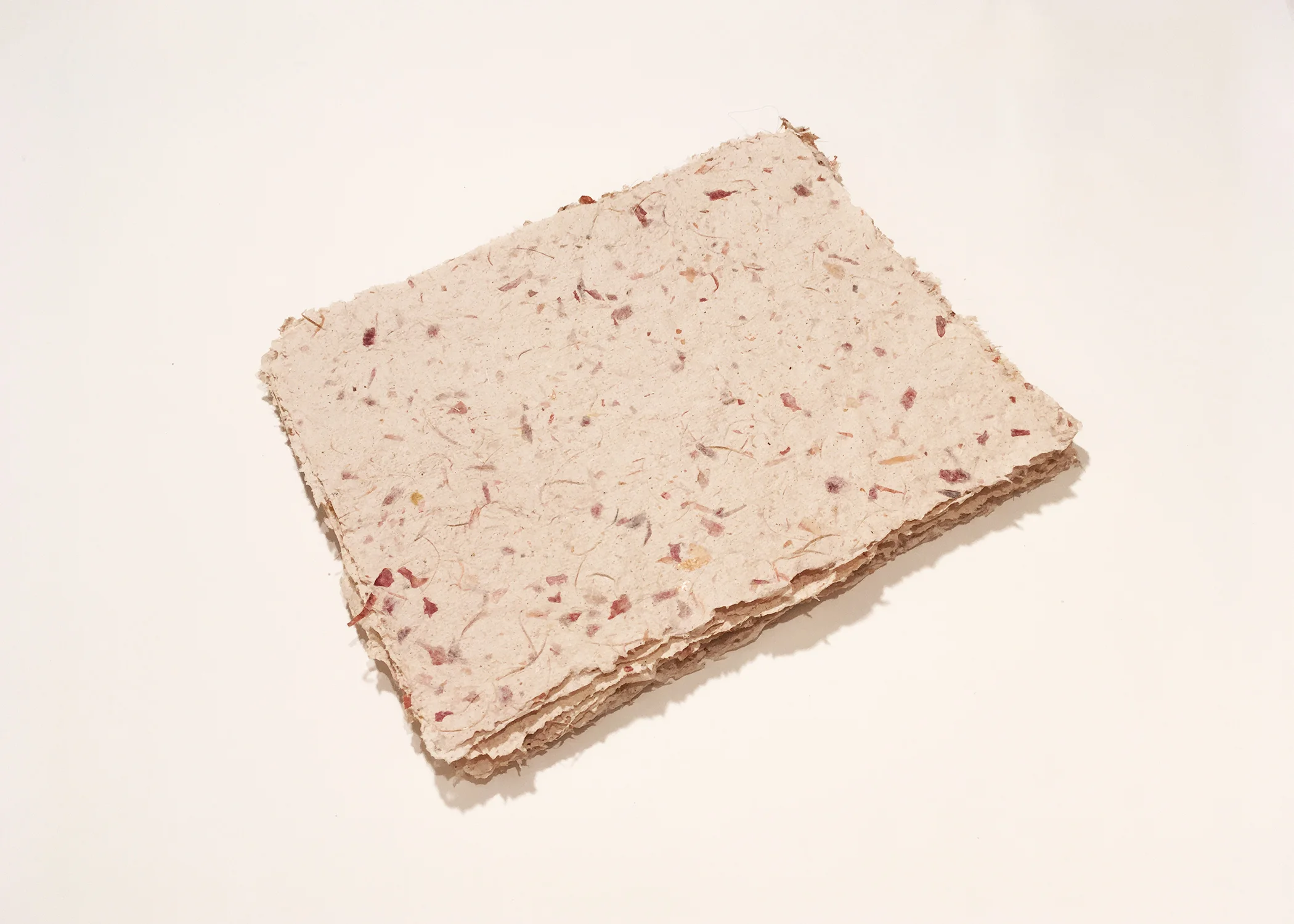 Beige Paper, 8x10", 0 of 18 available