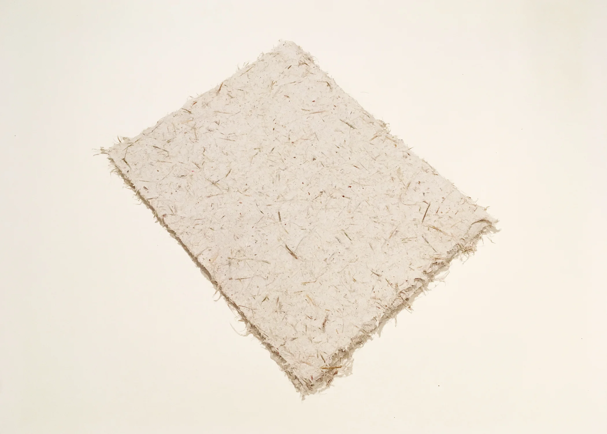 Dracena Marginata Paper, 12x9", 0 of 6 available