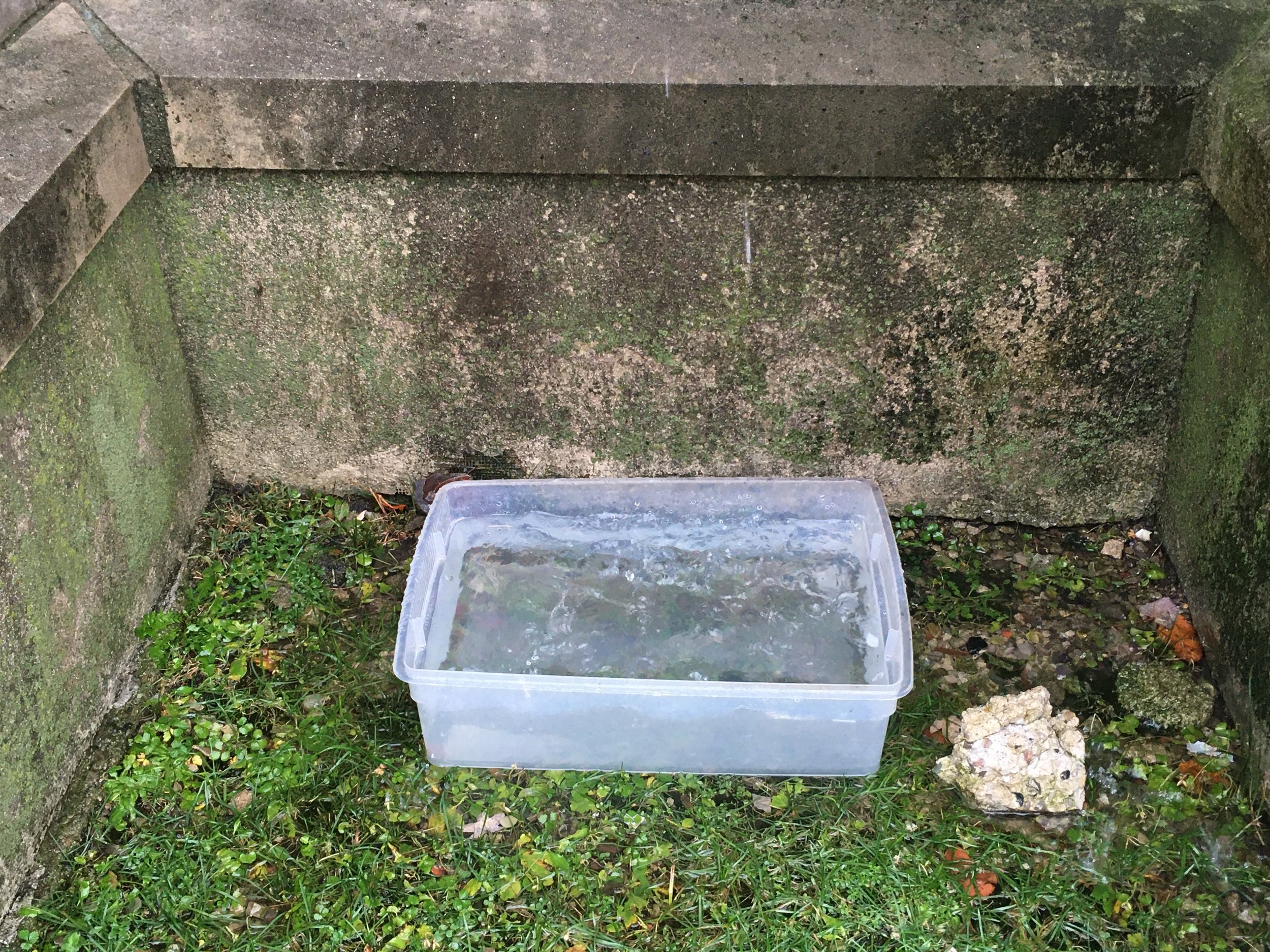 Collecting rainwater from the PlySpace roof for paper-making