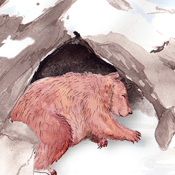 2017 November: A Space to Hibernate Saturday, November 11th from noon to 2 PM In the fall, any animals are preparing to sleep out the winter until spring time- Learn about animals that hibernate with SSP and screen print a cozy space for your favorite animal! We will be screen printing animals like bears, skunks, and frogs and creating warm dens for them to hide out the winter. There will be a collaborative component where you can add your sleeping animal to a poster diagram. Perfect for ages 5 and up. Instructor: Ashley Limes-Castellana