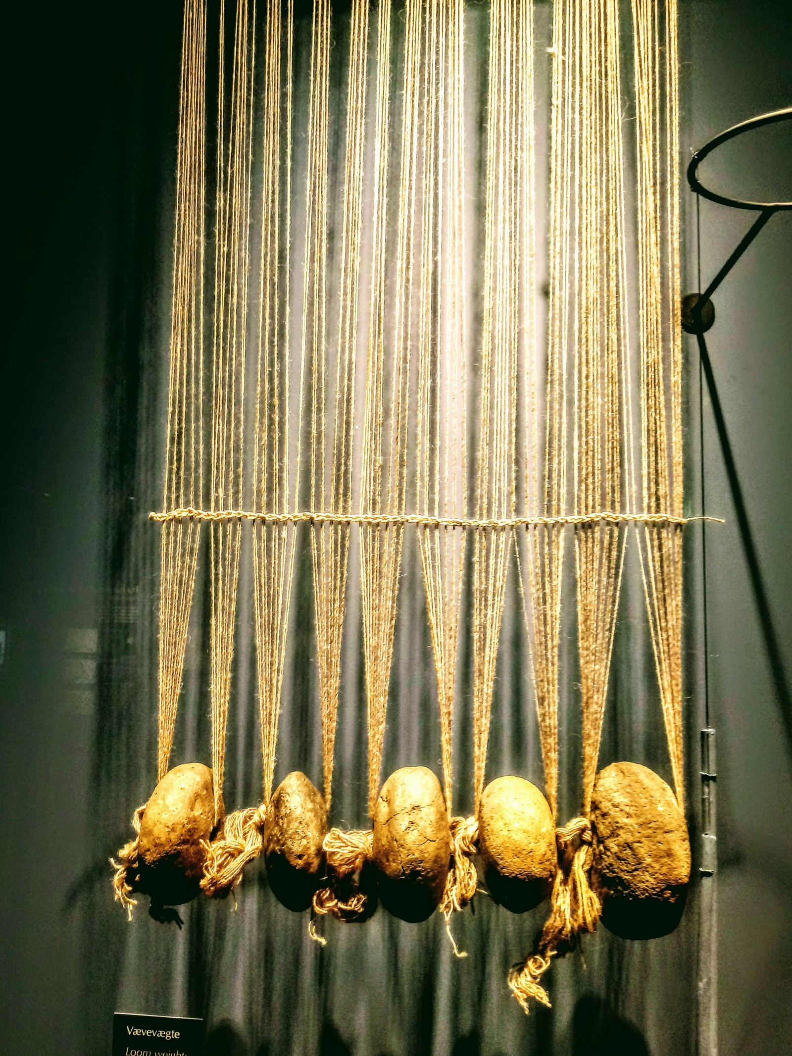 Although organic textile materials don’t usual remain from excavations, we can tell from multiple ‘donut-shaped’ stone loom weights (above) that the Viking Aarhusianers were weaving fabrics.