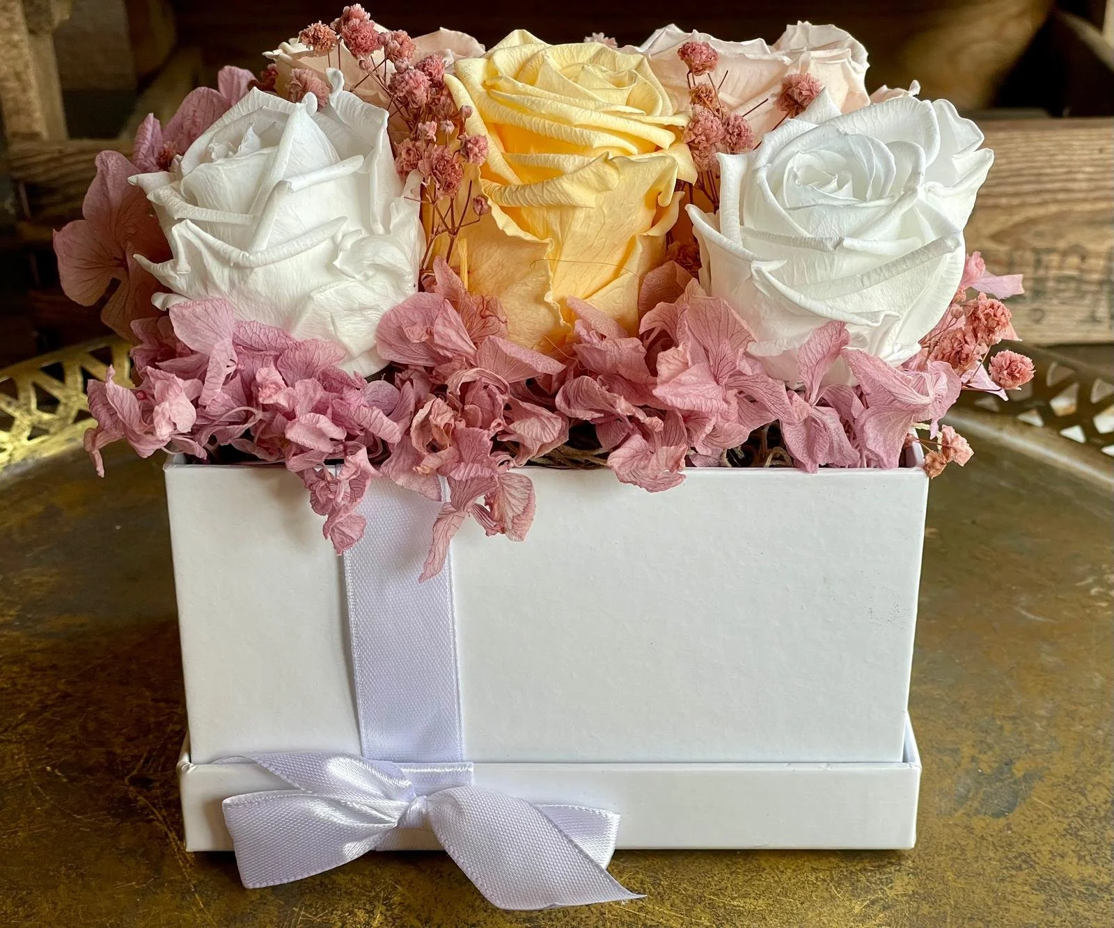 WhatsApp Image 2026-03-08 at 12.24.24(1).jpeg