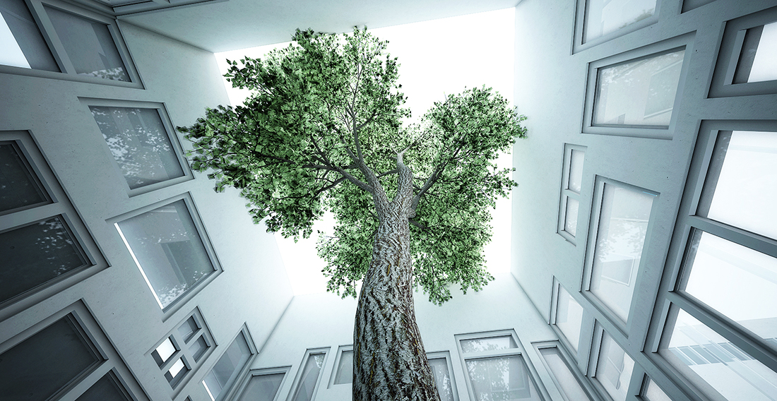 windows-showroom-tree.jpg