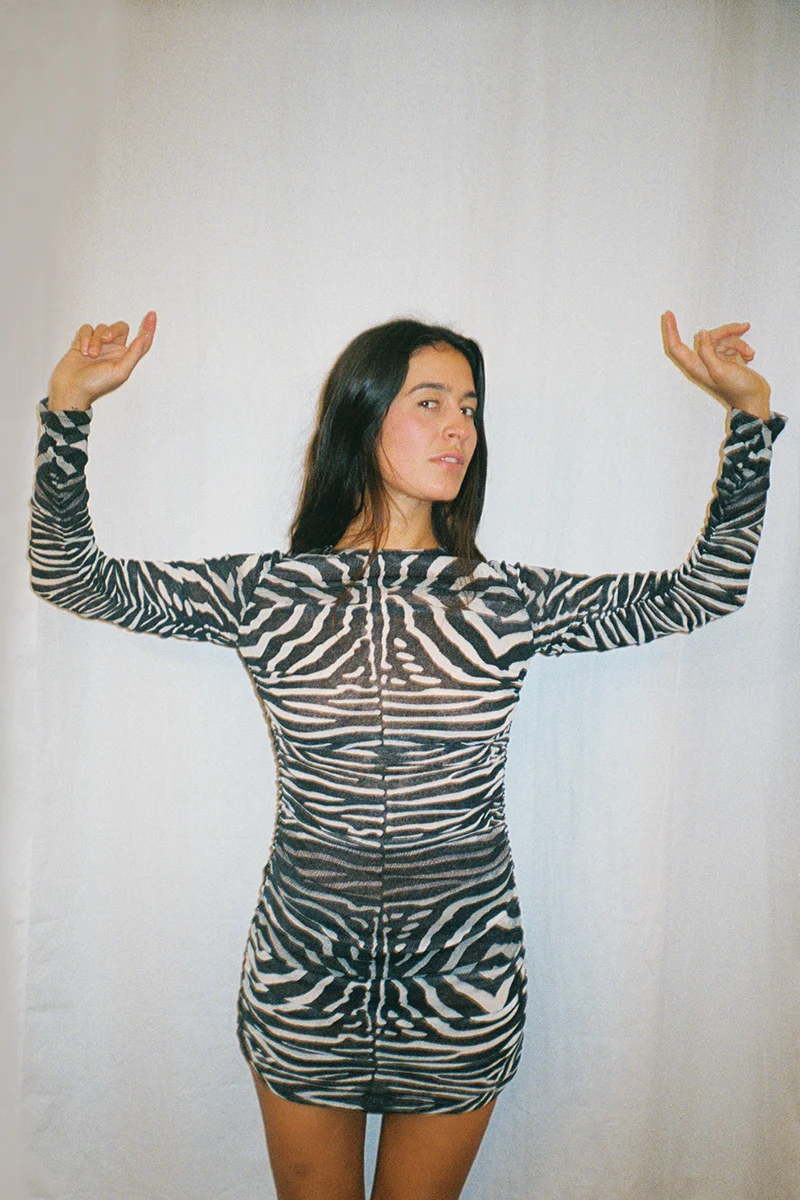 sadie_zebra_3.jpg