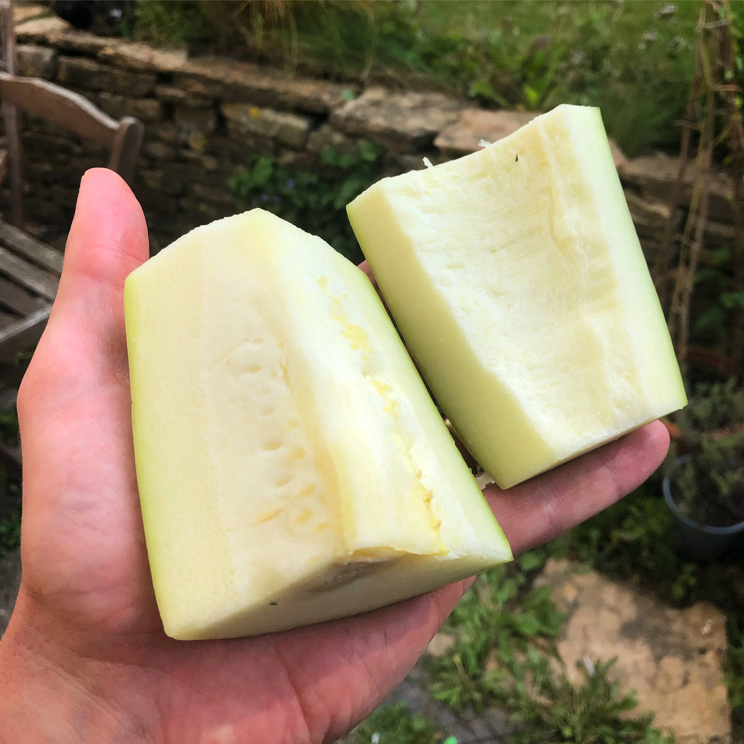 Four Amazing Vegan Marrow Recipes — Meat Free Fitness