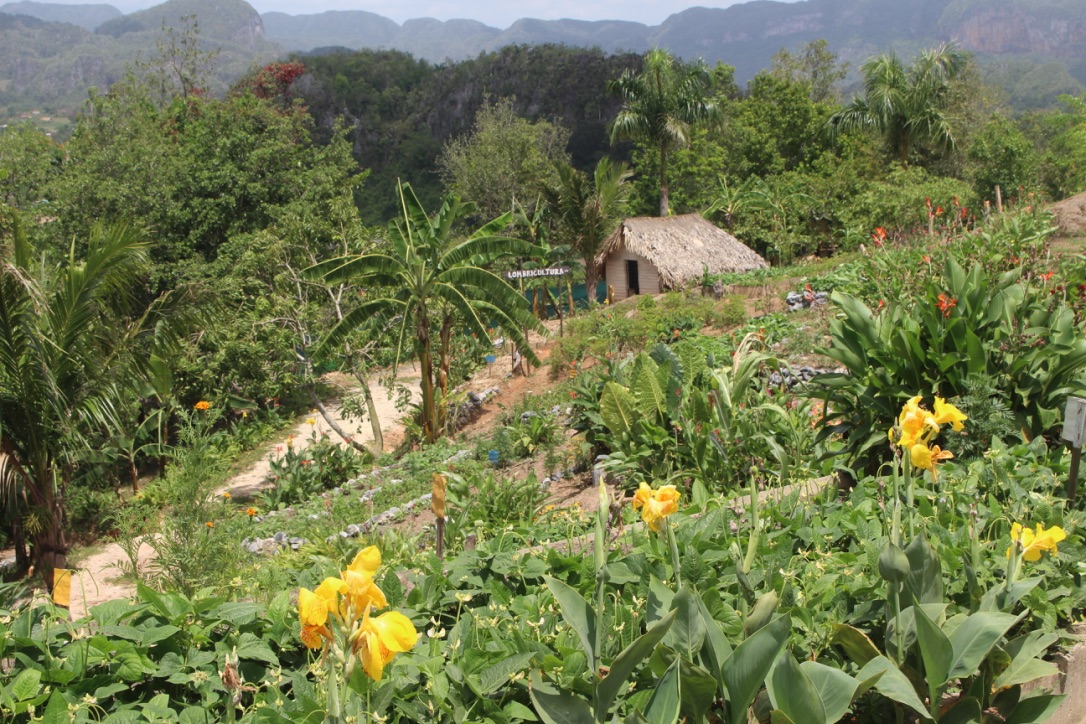 A gorgeous view of the valley 
