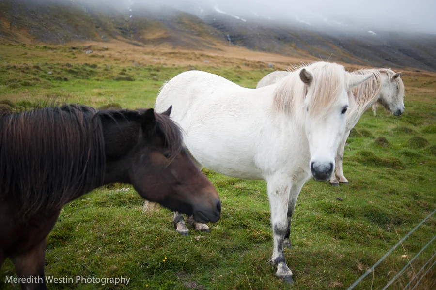 iceland-20120915-23.jpg
