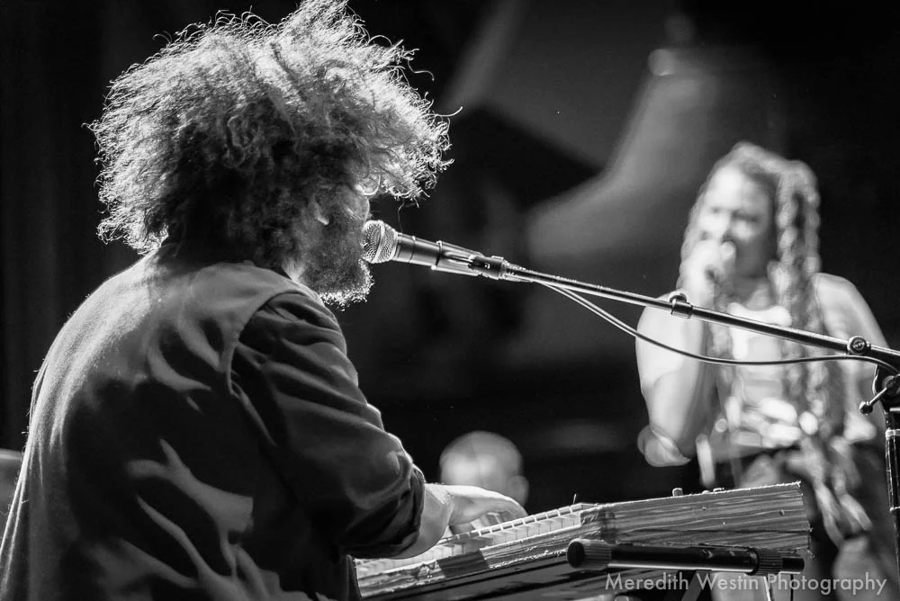 mina moore icehouse dec 20 (4 of 8).jpg