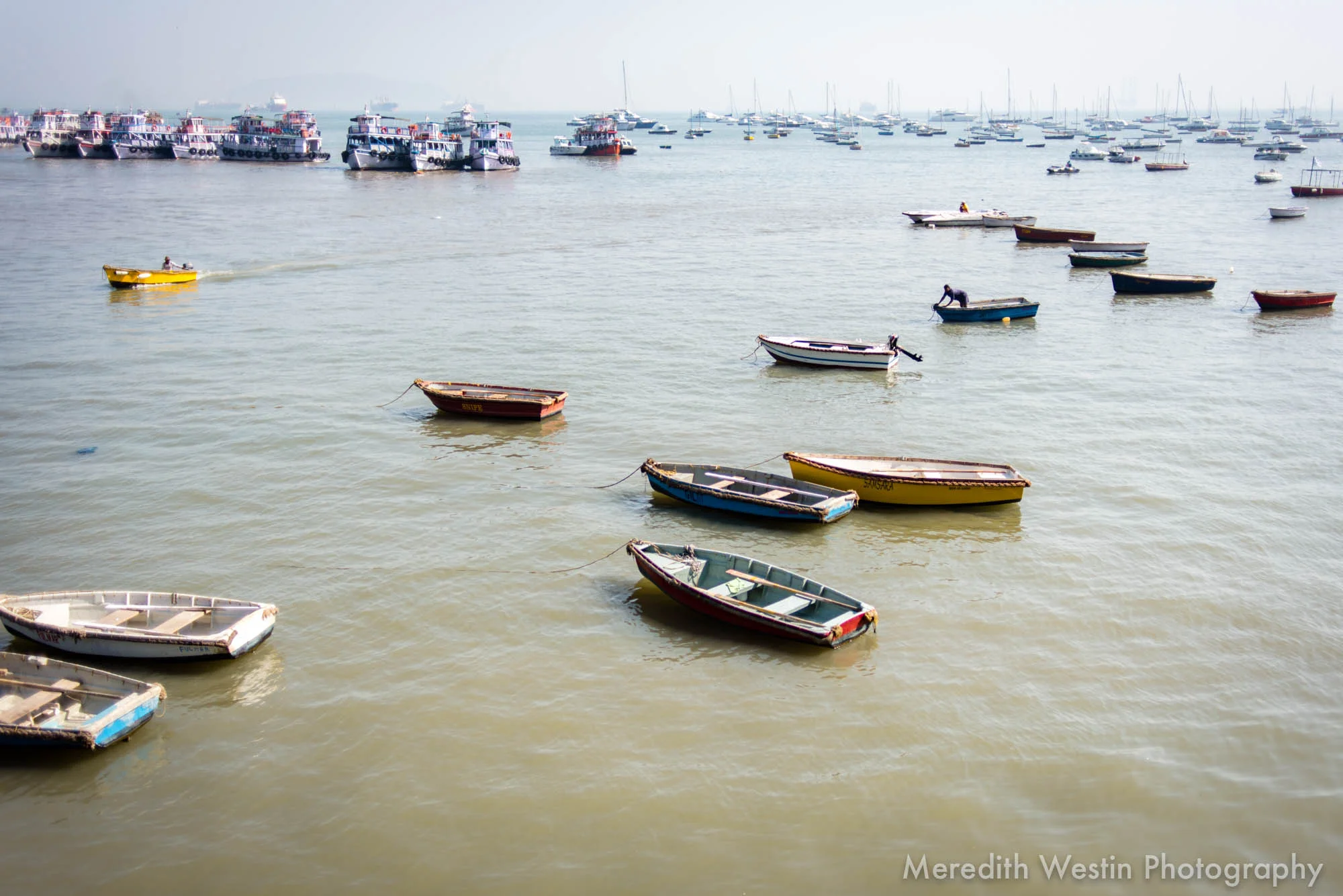 Meredith Westin Photographer-4.jpg