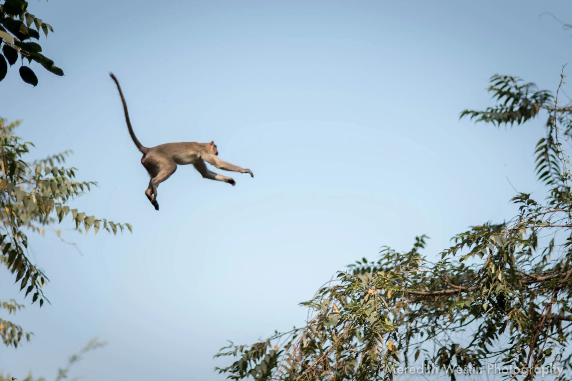 Meredith Westin Photographer-14.jpg