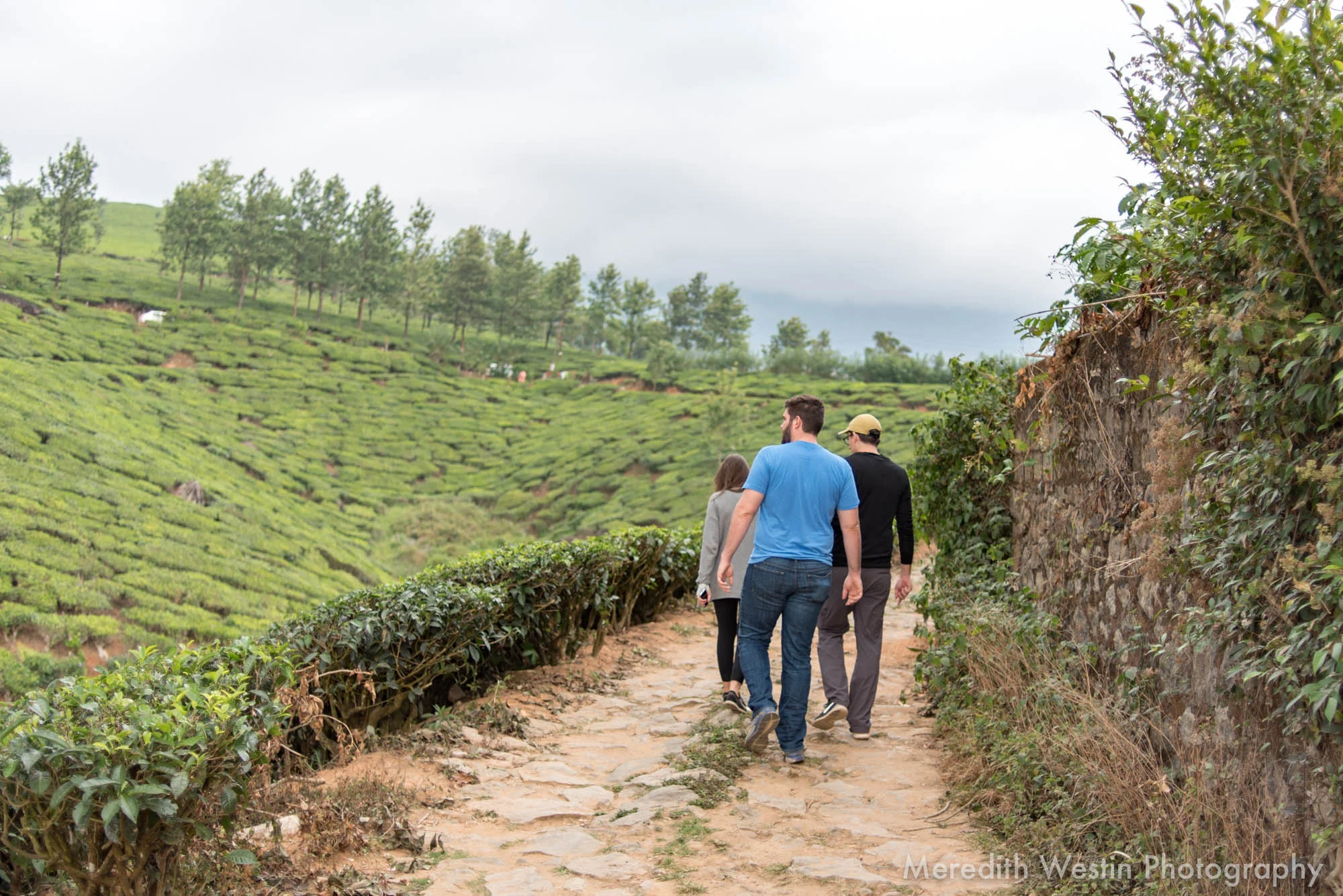 Meredith Westin Photographer-19.jpg