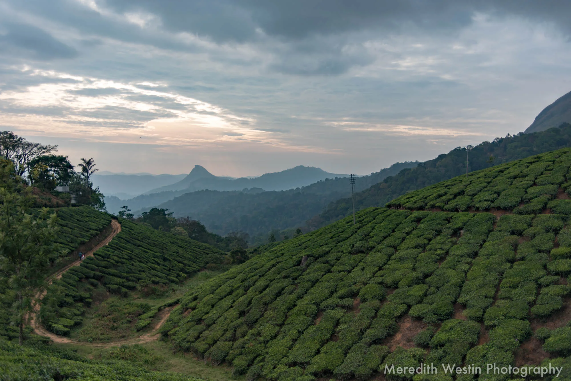 Meredith Westin Photographer-20.jpg