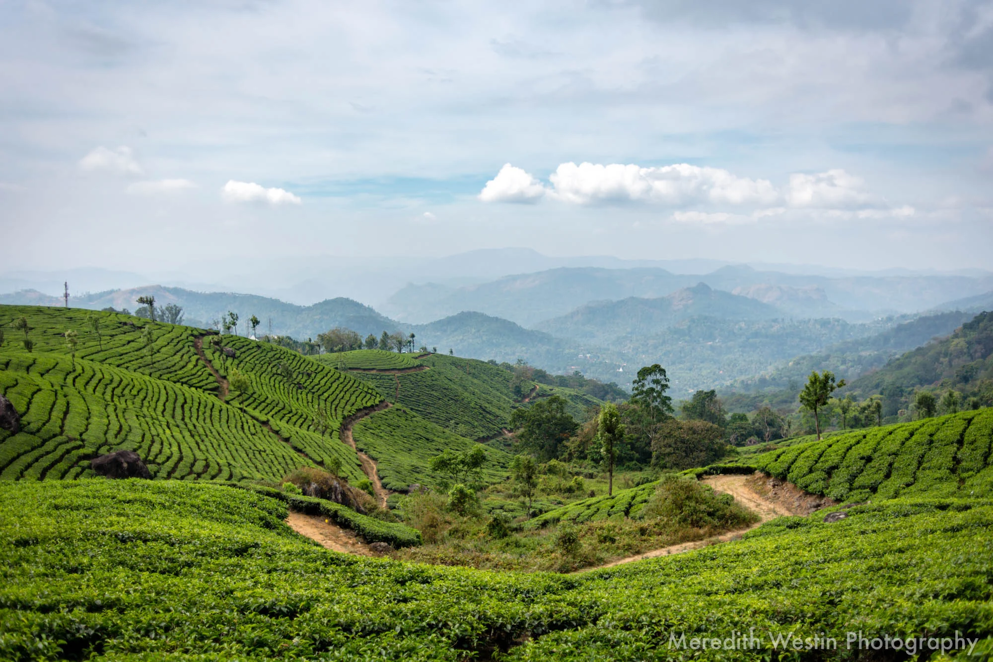 Meredith Westin Photographer-23.jpg