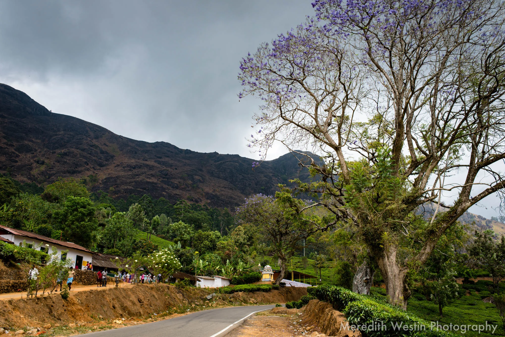 Meredith Westin Photographer-25.jpg