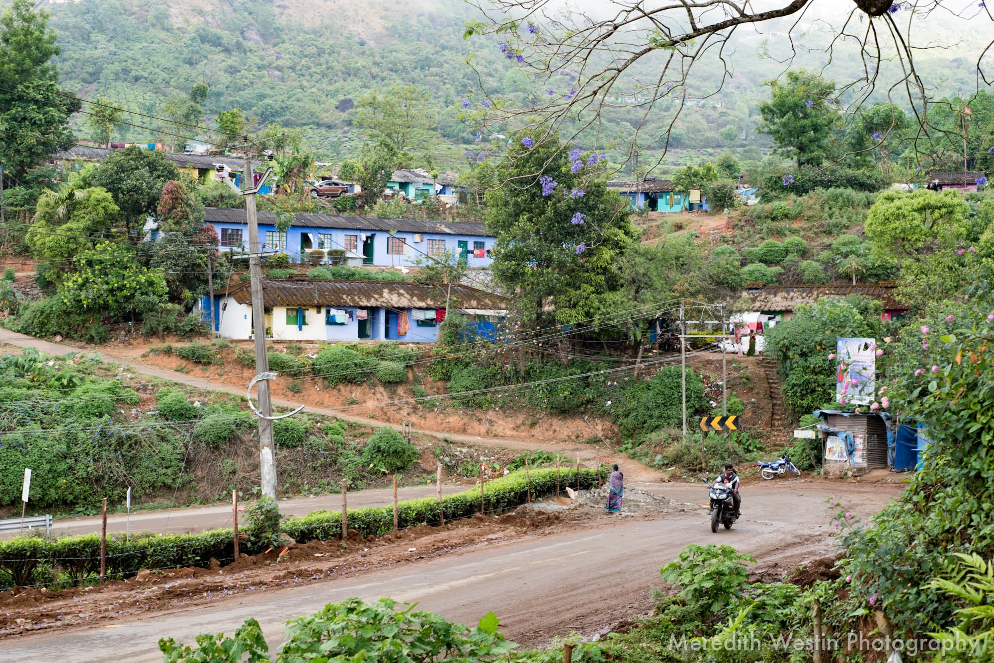 Meredith Westin Photographer-29.jpg