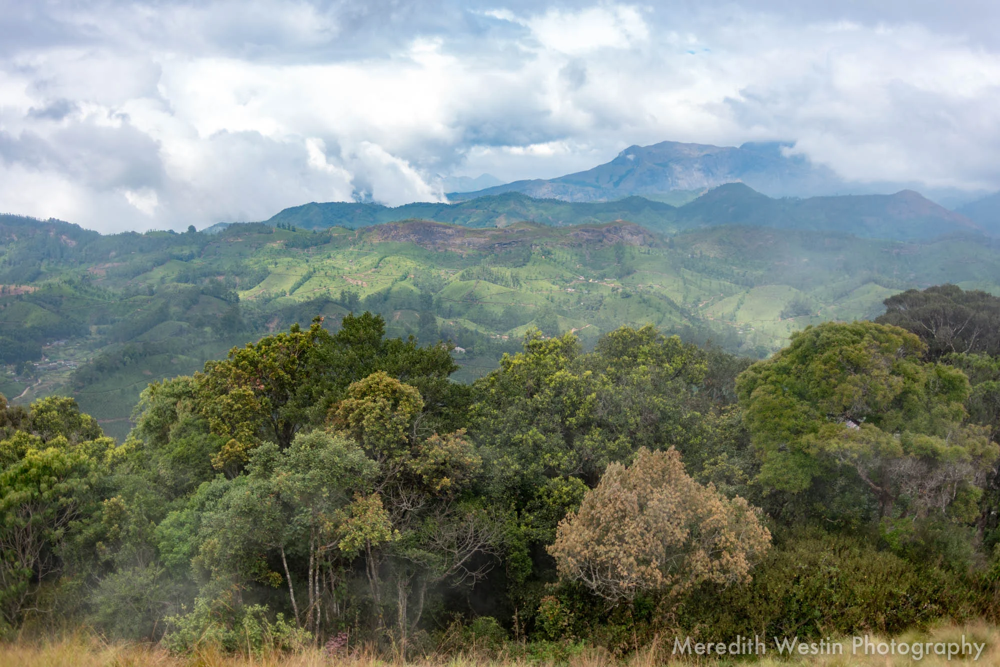 Meredith Westin Photographer-32.jpg