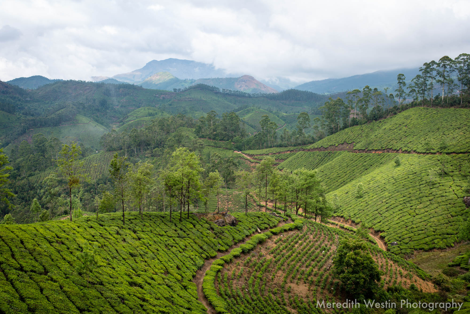 Meredith Westin Photographer-34.jpg