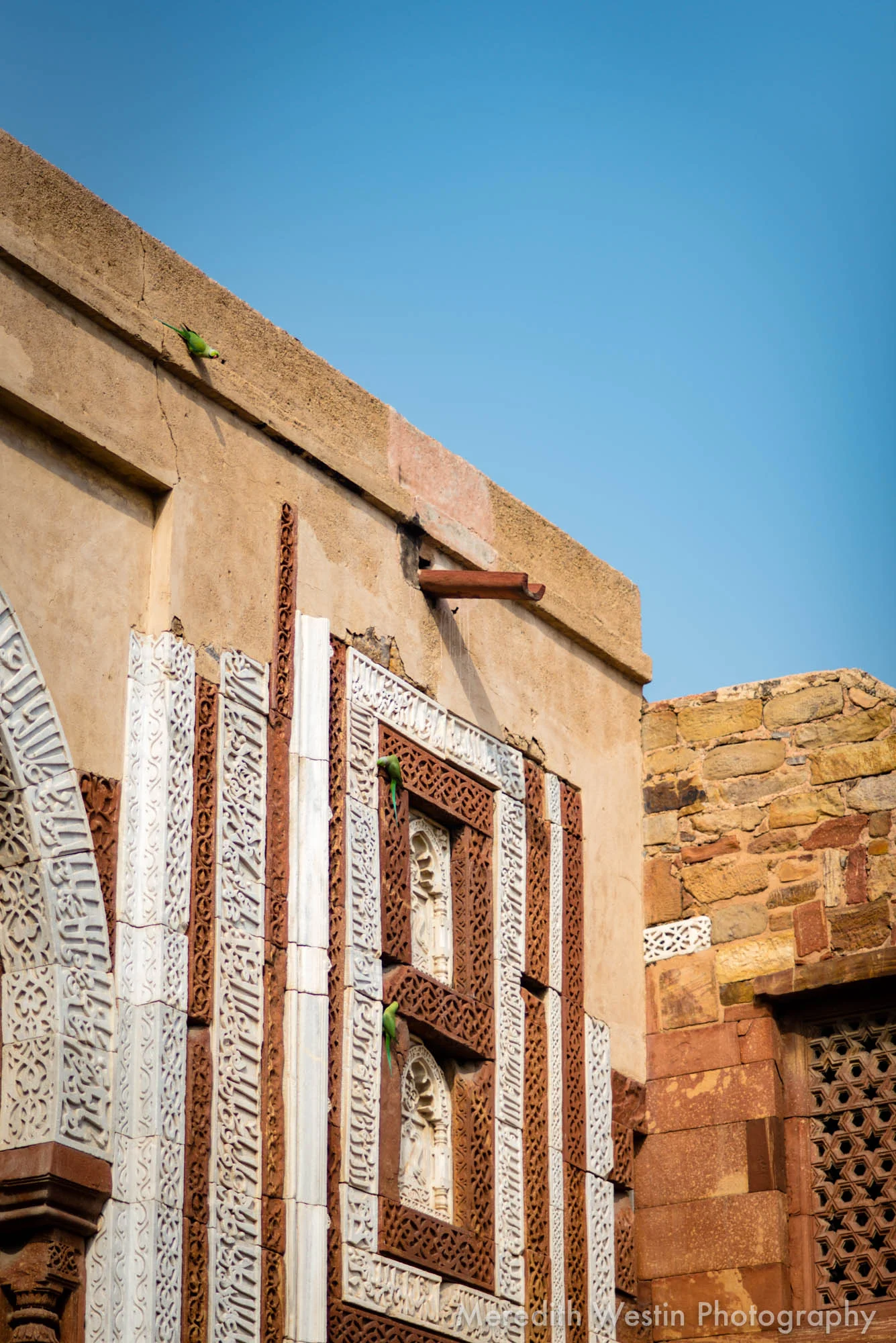 Meredith Westin Photographer-43.jpg