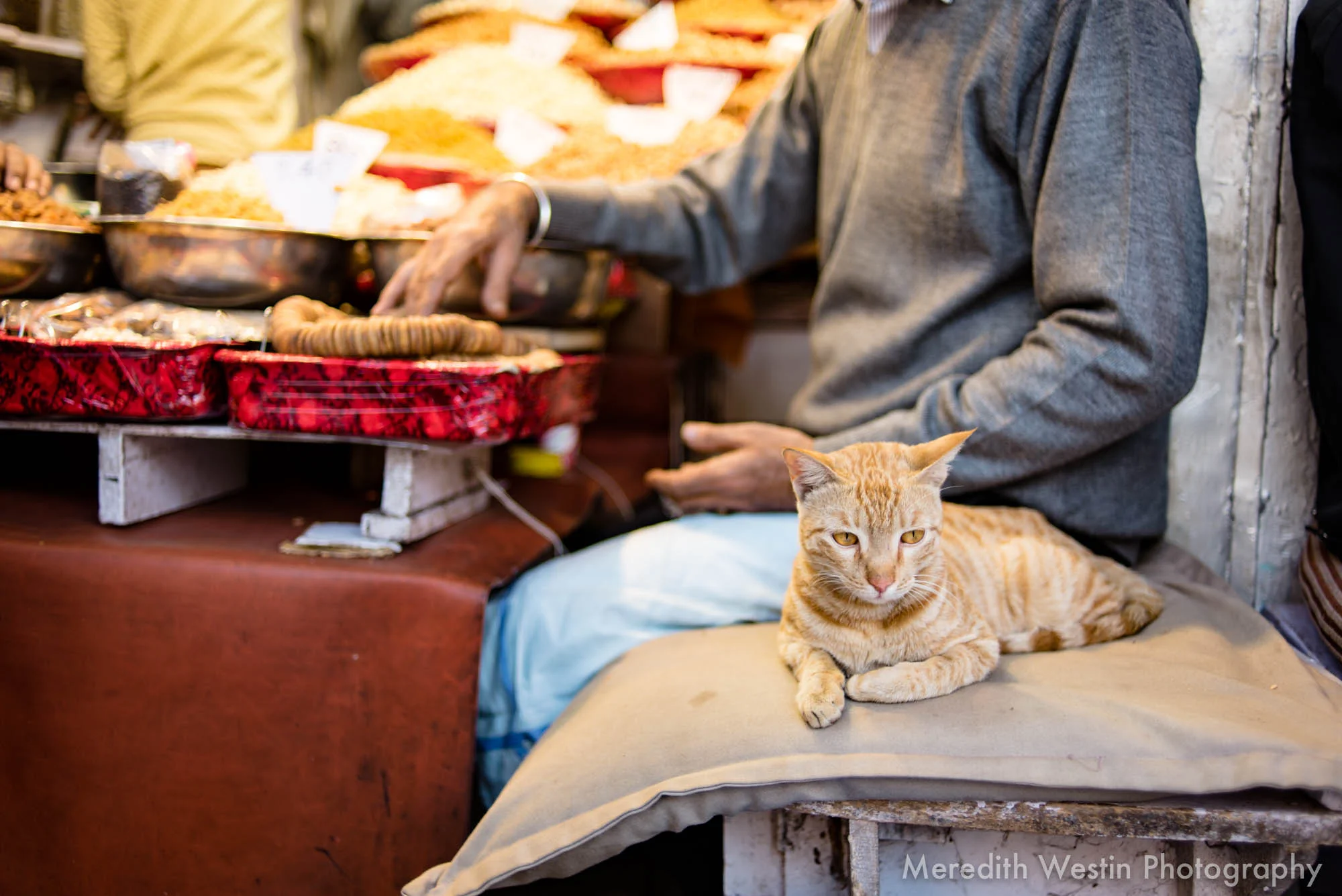 Meredith Westin Photographer-52.jpg