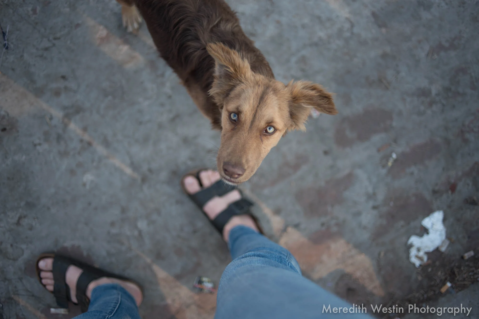 Meredith Westin Photographer-54.jpg