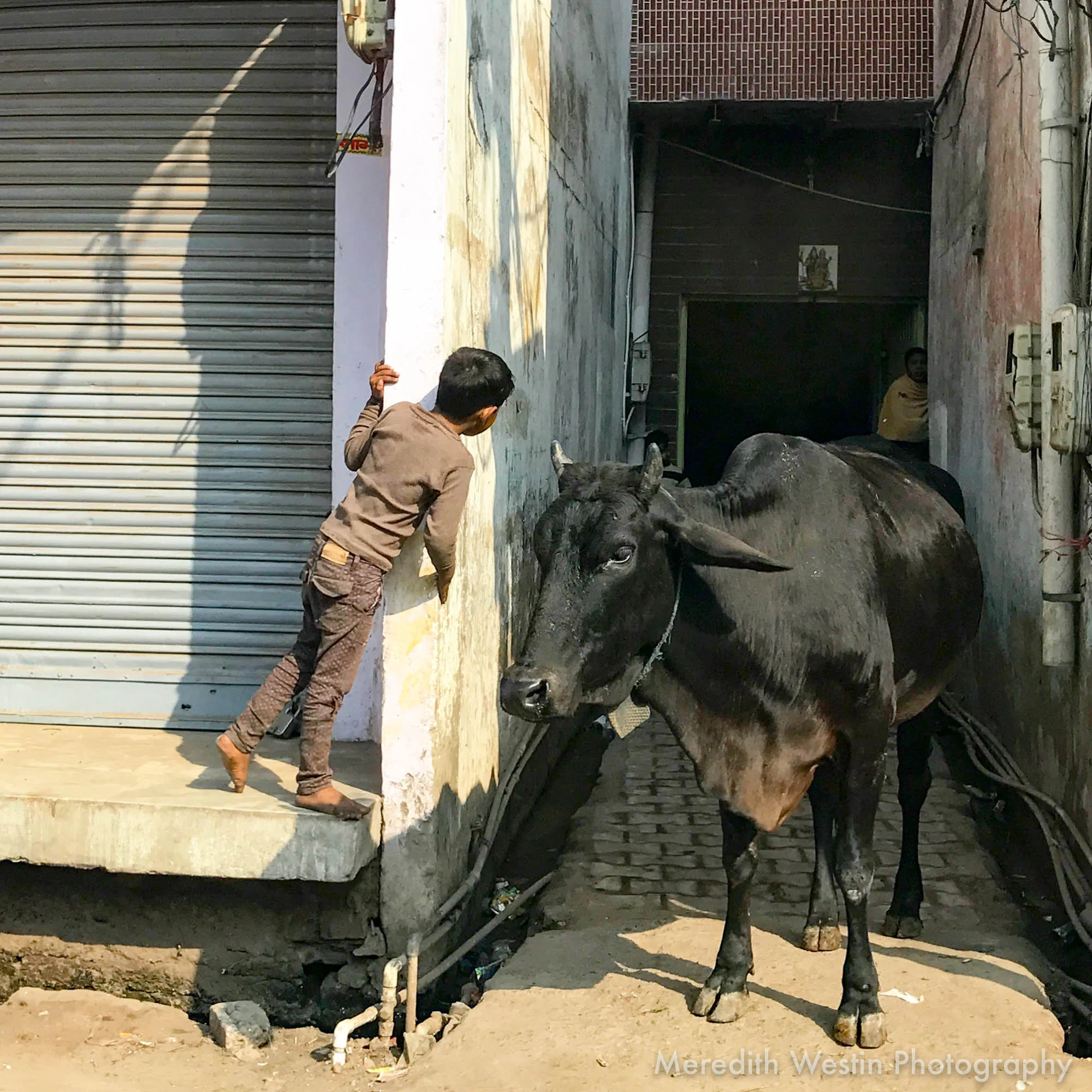 Meredith Westin Photographer-78.jpg