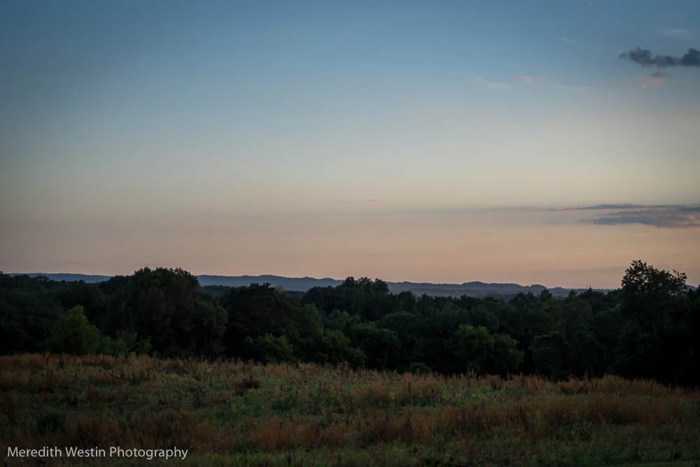 July 8 - Meredith Westin Photography-10.jpg