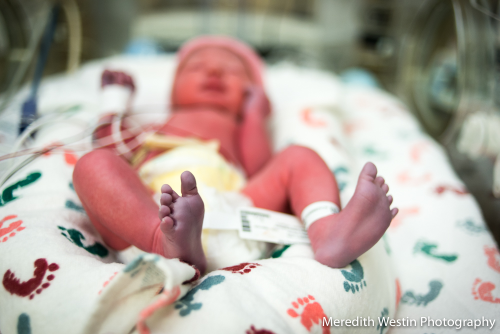 Minneapolis Birth Photograph-5.jpg